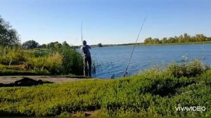 Рыбалка на Черемшане. Бойкий карась.