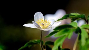 Полное Лунное затмение в мае 2022. Как загадать желание в этот день.