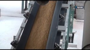 За 9 мес экспортировано более 528 тыс т зерна в Иран