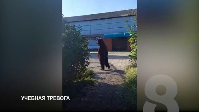 Программа Главные новости на 8 канале от 26.08.2024 Часть 2