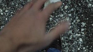 Celestia's Favorite Question (MLP in real life)