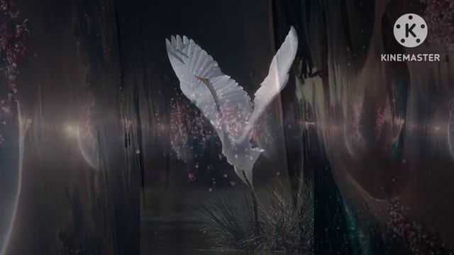 Николае Сергей- стихи " Кровь На Струнах" смотреть онлайн