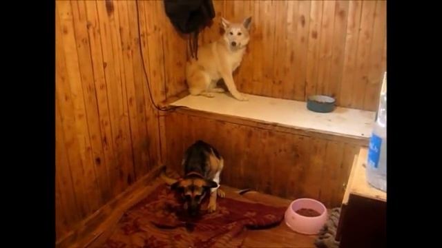 ПРИЮТ ОСТРОВОК смотреть онлайн