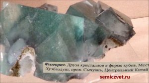 ?? Китайская художественная резьба по камню XIX в. Выставка