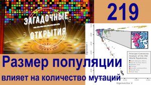 Размер популяции Влияет на количество Мутаций (популяционная генетика). З/О_219.