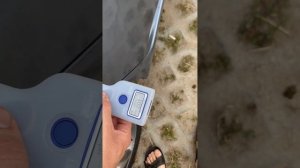 Толщина лкп аккорд 8 рест