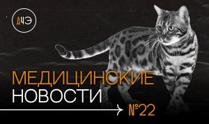Древние вирусы уже близко! Как нас защищает грязь? Кошки хранят информацию  владельце? | Новости #22