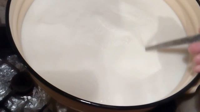 Сырный эксперимент благородная плесень смотреть онлайн