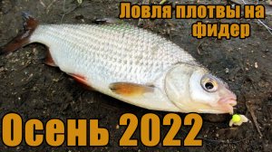 Осеняя рыбалка на фидер. Ловля плотвы в сентябре.
