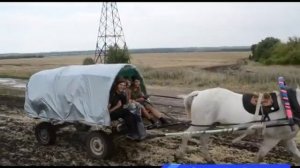 «Мы пойдём с конём…»: в Ельце всё большую популярность набирают конные походы