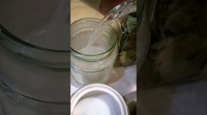 Как солить скумбрию. Такую рыбу съедают первой.