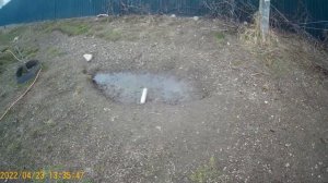 Крысинг удался или удаляю вредителей.