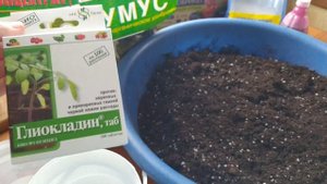 Как УЛУЧШИТЬ покупной грунт для первой  рассады/How to improve purchased soil