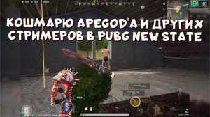 КОШМАРЮ APEGOD И ДРУГИХ СТРИМЕРОВ В PUBG NEW STATE