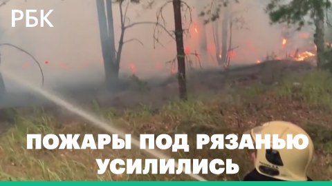 Пожары под Рязанью усилились. Смог в Москве и области продержится до конца недели