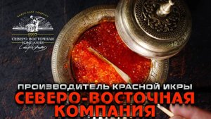 Северо-Восточная Компания