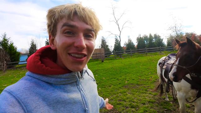 WILD ZOO ANIMALS FOUND in my BACKYARD BARN!! смотреть онлайн