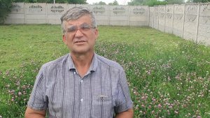 Клевер луговой . Растение с заметными эстрогеноподобными свойствами.