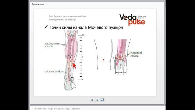 Канал Мочевого пузыря, диагностика и методы воздействия смотреть онлайн