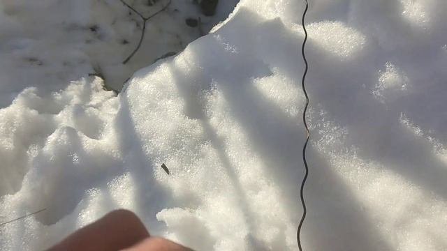 проверка петель. почти повезло!!