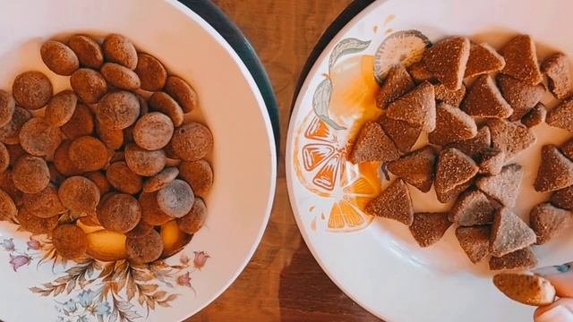 ЧЕСТНЫЙ ОБЗОР КОРМА ДЛЯ СОБАК Almo Nature Holistic Bisko Регуляр для кане корсо