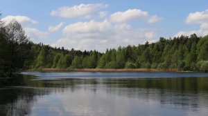 На озере Плотина. Лес, чайки, звуки природы