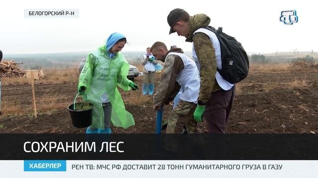 В Крыму прошла акция «Сохраним лес»