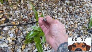 Huge 11KG Copper Bar From Scrap Spa Pump - Trash To Treasure - ASMR Metal Melting -BigStackD Castin