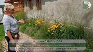 Видео журнал «Сады в отличной форме №51» Цветники из многолетников и злаков. Делаем и обсуждаем.