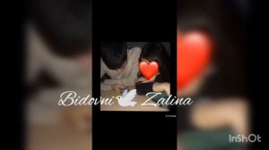 цыганская песня 2023♥️давай мэ тут залава и уладим када тема#врек