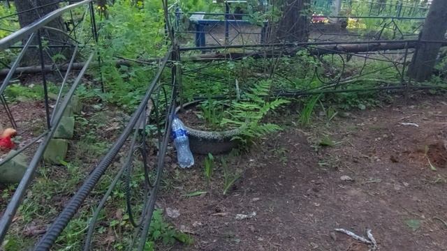 МОЩНАЯ ЗАЩИТА ДЛЯ СЕБЯ И СЕМЬИ. УВАЖЕНИЕ К СМЕРТИ. НА КЛАДБИЩЕ (11.06. 2022) смотреть онлайн