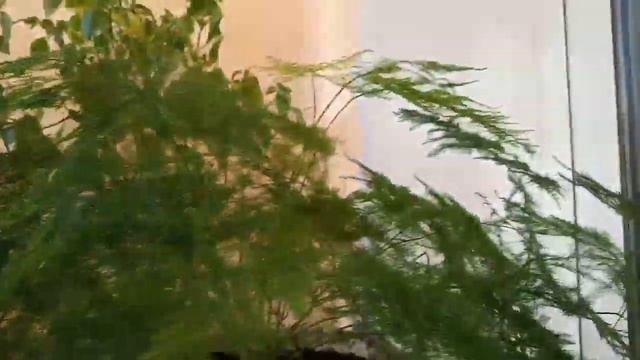 Балкон в августе смотреть онлайн