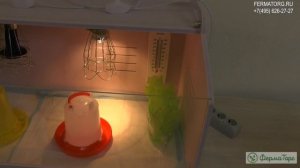 КРАСИВЫЙ ЗАВОДСКОЙ БРУДЕР! РЕГУЛИРОВКА ОБОГРЕВА И ОСВЕЩЕНИЯ! УВЛАЖНЕНИЕ! ПОИЛКА КОРМУШКА В КОМПЛЕКТ