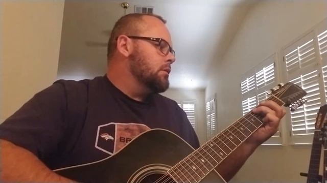 Rainsong 12 string