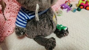 Вечер с Басиком и Лаки!