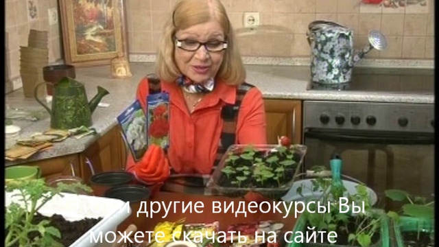 Готовимся к весне: Цветы 2