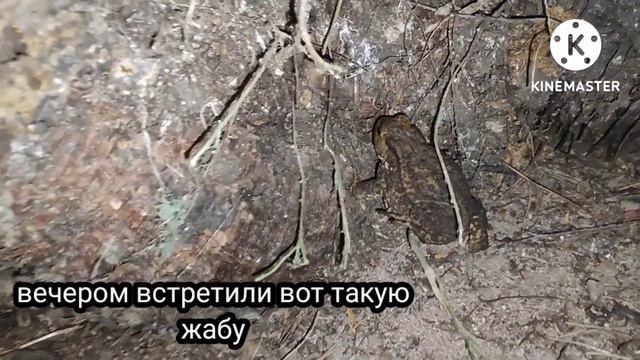 Поход на озеро Тиберкуль. Часть 4. Живность на озере и немного рыбалки с берега!