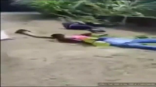 ИЗИ ТОП 1 В APEX И НОВОЕ ОРУЖИЕ!!11!1 смотреть онлайн