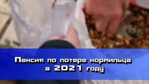 Пенсия по потере кормильца в 2021 году в России