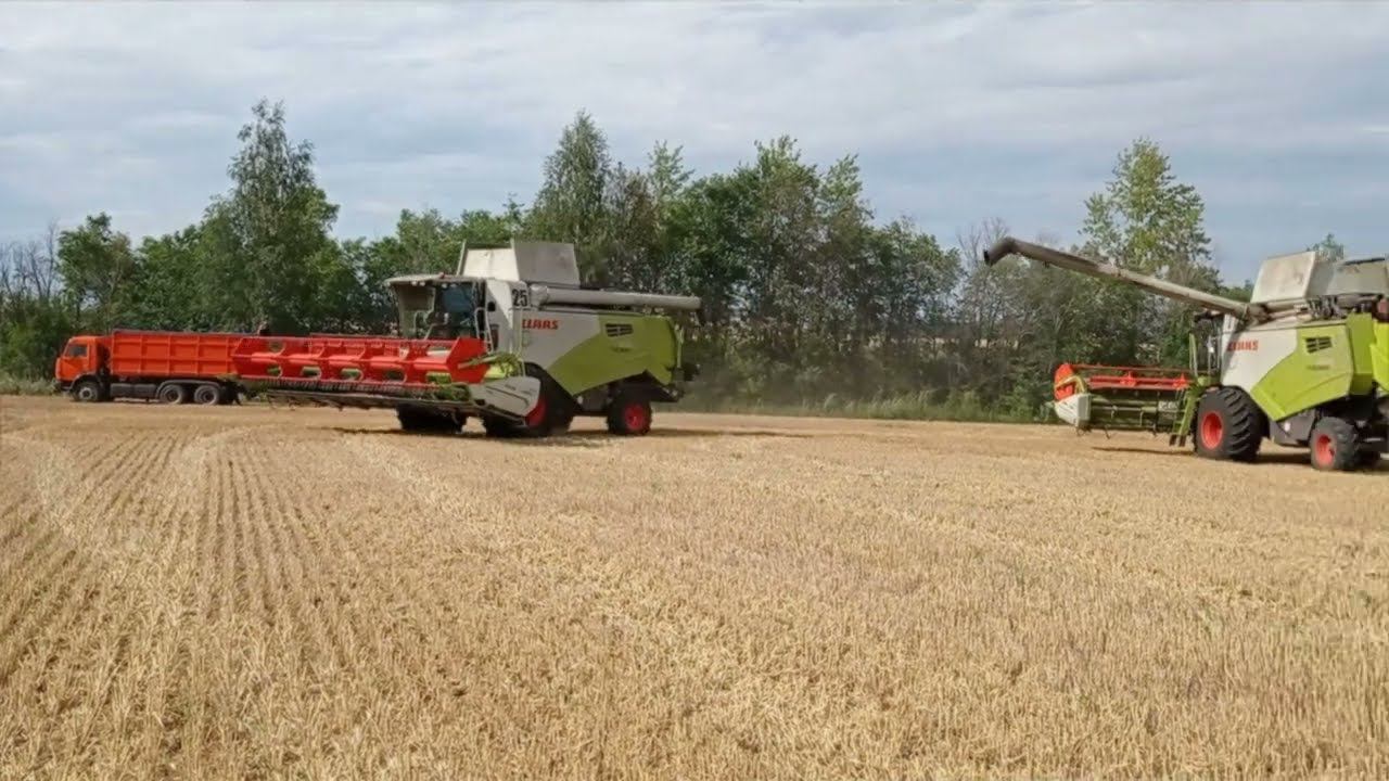 Уборка 2023 Claas tucano 450 .  Просто микс . смотреть онлайн