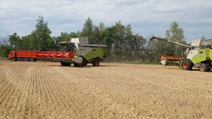 Уборка 2023 Claas tucano 450 . Просто микс .