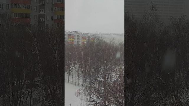 Красота #рассеянныйсклерознеприговор #рассеянныйсклероз #счастье #чудо