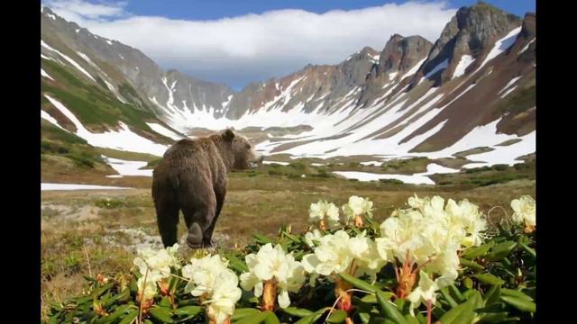 Забытая правда