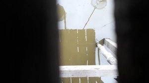 Контрольный облов. До какого веса вырос карп в пруду