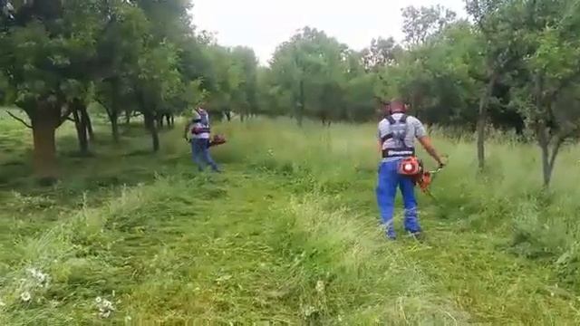 Husqvarna 555 rxt and 545 rx смотреть онлайн