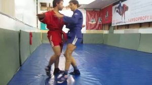 Третий урок  Задняя подножка с прыжком от броска через голову