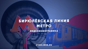 Бирюлёвская линия в цифрах