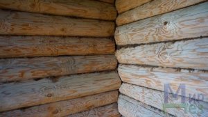 Лучший Препарат от Мух. Какое Средство Лучше Agita [Агита], Flybait [Флай Байт] или Каракурт? МирДе