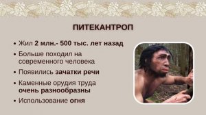 Презентация Эволюция человека
