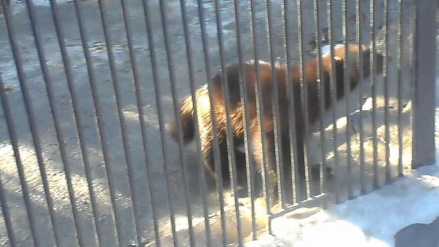 Zoopark.